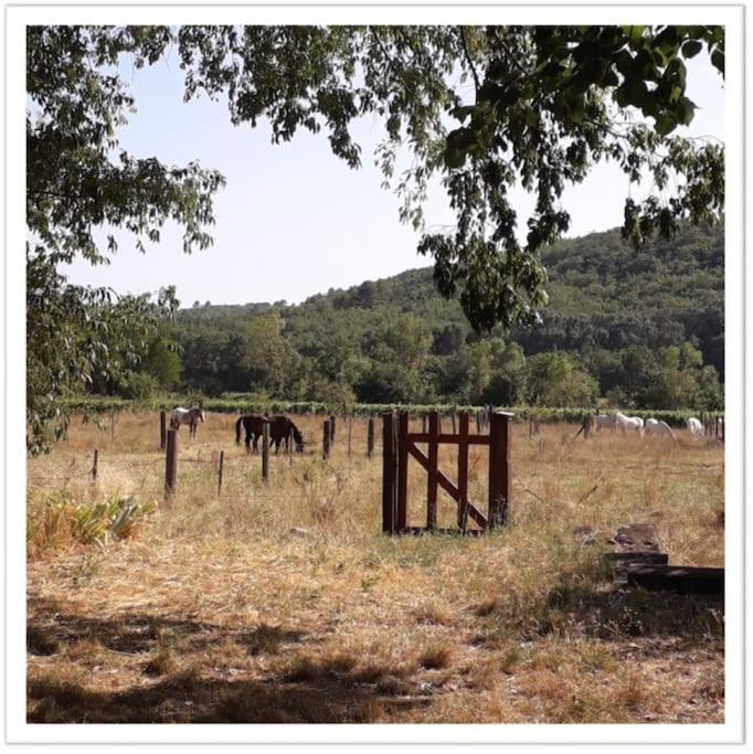 Charming Small House Close To Uzes Foissac  Exterior foto